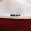 Bicolor