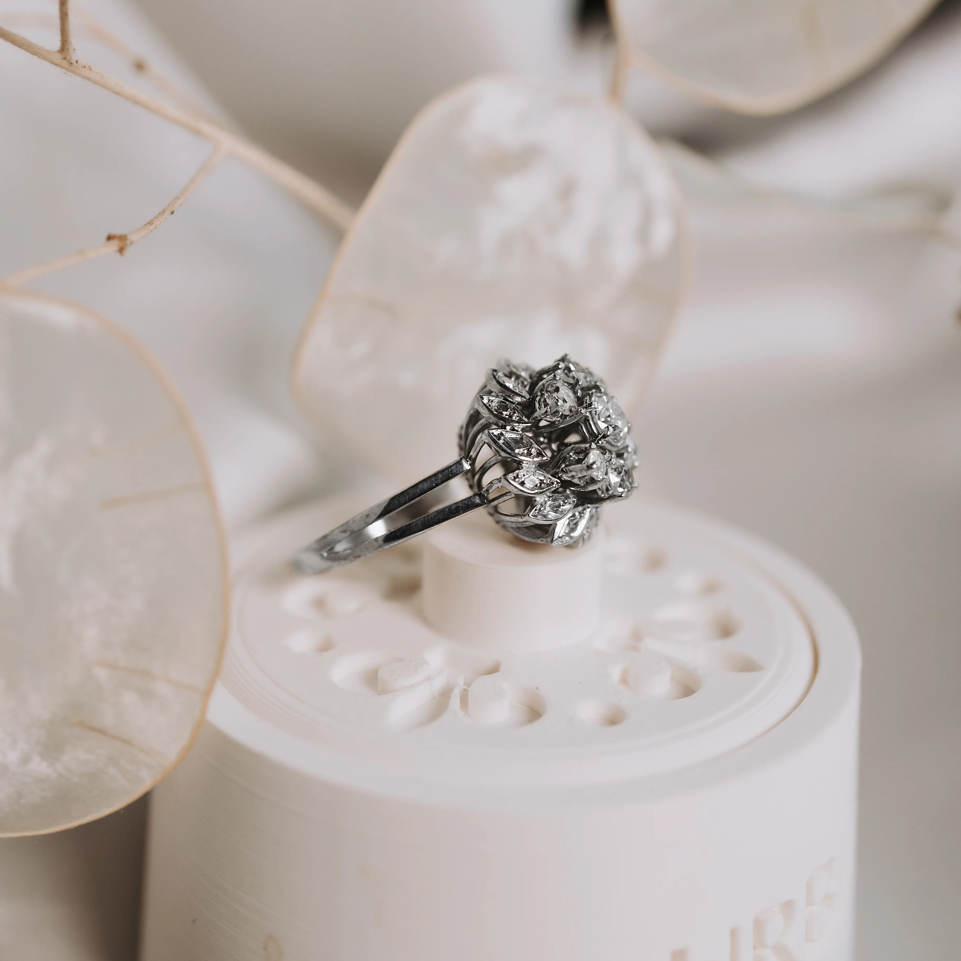 S6922 - Rosetón antiguo - Imagen 3