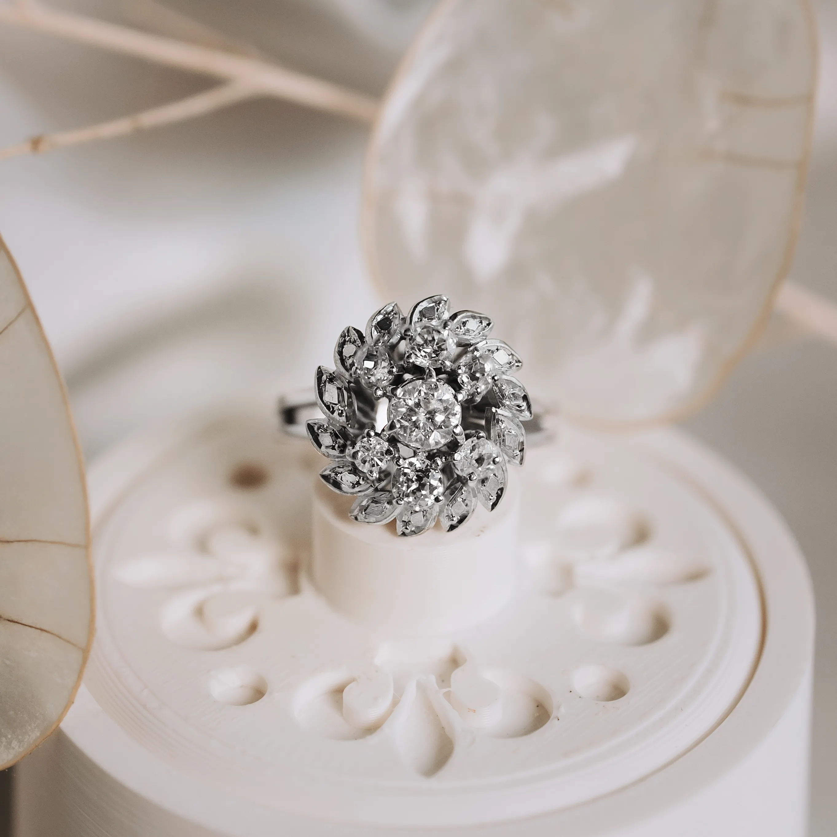 S6922 - Rosetón antiguo