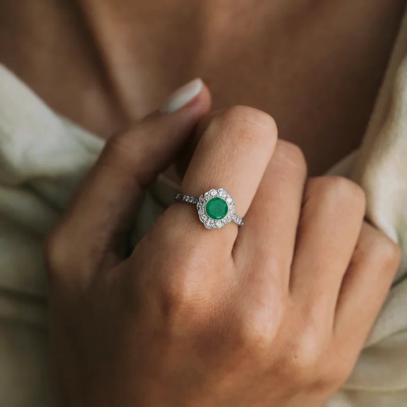 Alternative view of S6937 - Roseta esmeralda